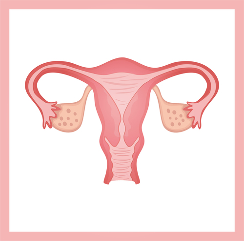 排卵針刺激會導致卵巢早衰?產品圖