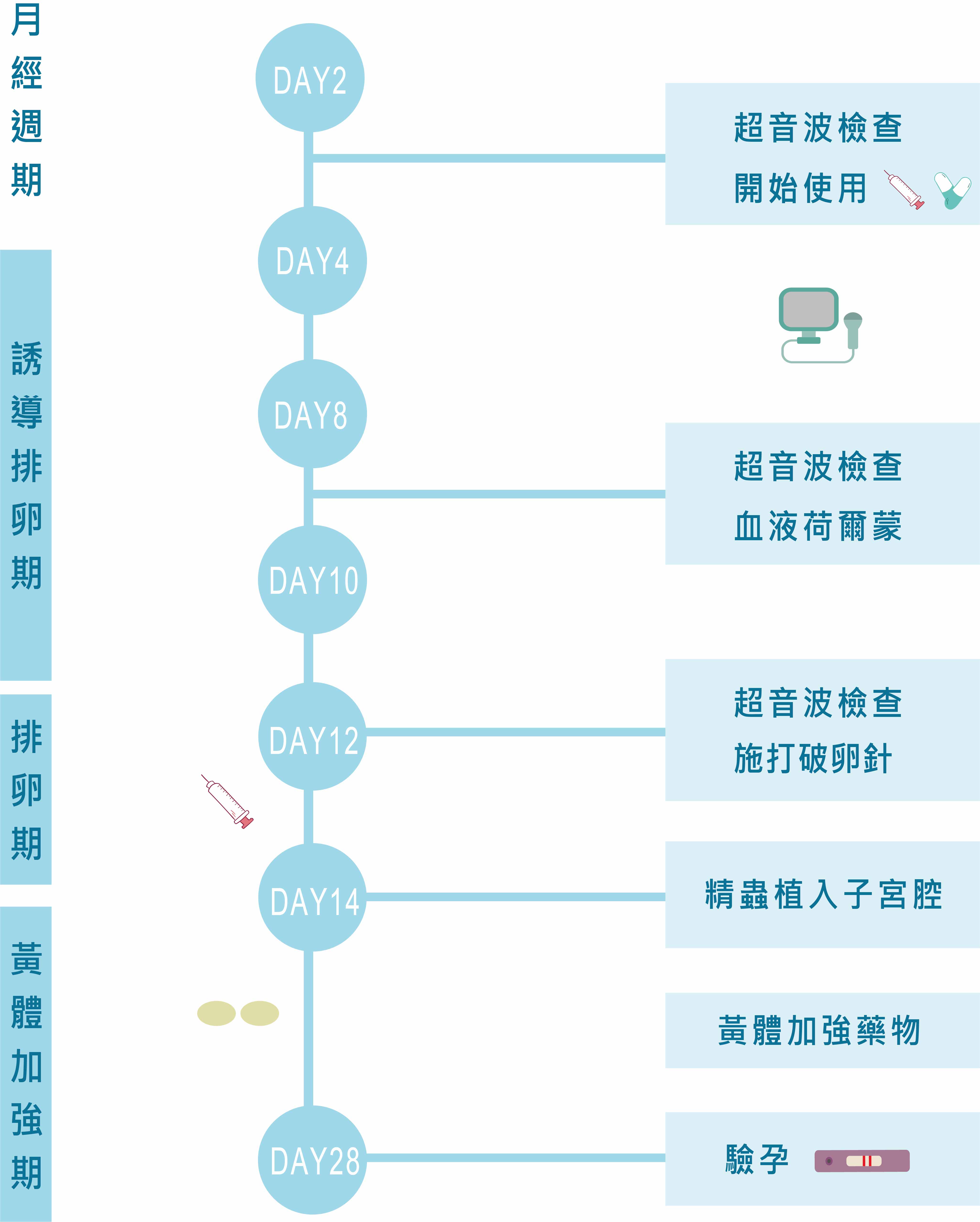 人工受孕療程